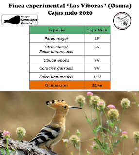 Informe cajas nido 2020