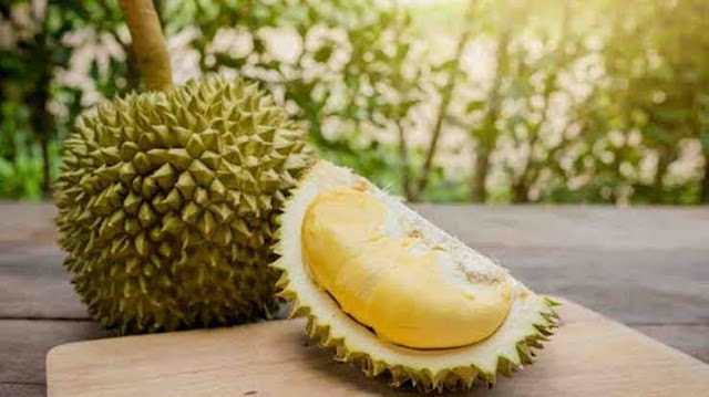 Disinilah Supplier Jual Durian Montong No. 1 di Aceh