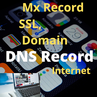 Domain Record