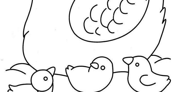 15 Gambar Mewarnai Ayam Untuk Anak PAUD dan TK 
