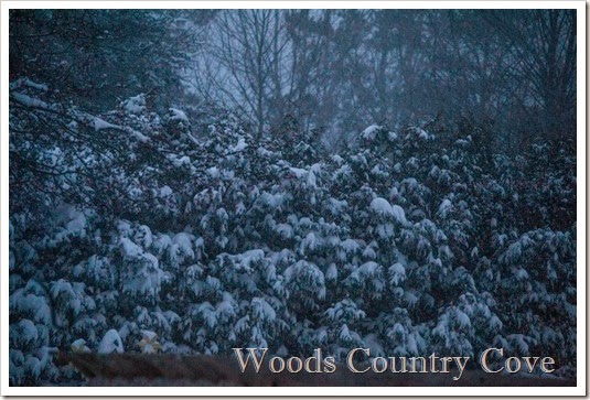  January 2014 (3 of 10)-2