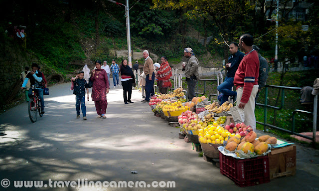 Apart from my heavy SLR Camera, I also carry a small Mobile phone by HTC which has a decent camera to shoot day pics anytime. All the photographs shared in this post are clicked by my Mobile Phone and I call it Mobilegiri :)The recent trip to Himachal Pradesh was quite exciting for different reasons. One of the reasons was meeting new friends during the journey. Here I am not talking about Parikshit. It's Billu, who is in his hands. A cute kitten. who met us on the way at Shawadh in kullu District.Everyone wanted to spend some time with this kitten. Aneesh is also trying to save her from chilly morning in Hills. He also took care of breakfast and all.After few minutes with Aneesh, she was quite comfortable and started climbing up. Here she is sitting on him shoulder. I love her expressions in this photograph, while covered in warm jacket.Here some another dear friend, Pradumn. We met him at Tani Jubber. He was here to visit his Grandparents, otherwise he stays in Shimla. His Grandmother is standing in the background and not sure if you noticed Apple orchard in the background. Anyway, there is hardly any clue to guess that it's an apple orchard :He was quite shy in the beginning and after few minutes of talk with Rohit (Khachi), he started dancing on 'Chhamakk Challo' form Ra-One :During this trip, we also crossed Shilaroo Hockey Stadium which is considered as highest Hockey ground in AsiaIt's located just roadside, surrounded by high peaks of Hatu on one side.Throughout the trip we stayed in tents but always tried to find a decent hotel for bath :) ... Although hot water was available at camps but adventurous bath-tents were not very convenient :) This was one of the hotel near Narkanda and Hatu.Here is a diversion for Hatu Peak from main road which connects Narkanda with Thanedar. Hatu peak is one of the popular place among Bollywood directors. Many movies are shot at this place.There were some talented bikers accompanying us. Specifically Aneesh, who drove me up till Hatu Peak and parked his bike here on top of a rock, which was not accessible through road. He drove his bike through different hills to reach this point.Here is a view of Hatu Temple from other side of the hill, which has amazing view to the valley in the foothills, dangerous as well. I am very scared when Aneesh was driving his bike on this hill and stopped just on edge.One of the view of Hills in Himachal on a cloudy day, which is most suitable for shooting any horror movie. Kali Ghanghor ghata types..One of the orchard house where we stayed for one night. It was in Tani Jubber and thanks to Pawan for all the arrangements at this place. Hot water was must thing during those days and it was like most precious thing for us.Here is another photograph from Orchard house in Tani Jubber, when we were moving ahead in the morning.Tani Jubber Lake in the morning...A photograph inside tent. The tripod in the front is used to place bulb and have proper light inside the tent. Folks inside the tent are Rohit, Pawan, Chandan, Parikshit and Saurabh (Left to Right). Thanks to Rohit, who made all our evenings joyful with his acts on various Himachali Policians :) - 'आले भाई, हेलिकोप्तल को लोका क्यों नहीं जब मैडम आ लाही थी तो :)'Colorful camping ground of Kullu Sarahan, where we spent a complete day and two nights. It was the best place to camp and experience Himalayan Nature.These are temporary toilets and bathrooms !!!A temporary bridge installed to connect camps with nearest road...Whole gang near Sarahan Waterfall. Almost everyone took bath in this chilling water !!!A quick photograph of Kullu Sarahan Village in Himachal Pradesh...It was breakfast time and we were sitting in Chalai fields to spot our targets for capturing in cameras. Rohit's curious look !!A quick Mobile click from a moving car, when a mother is doing the regular morning stuff !!Finally this trip ended at Ridge, Shimla... A person who walk between Sanjali and Mall Road, can very well describe this place. Lots of fruit shops near lakkar Bazar A typical Shimla hill with lots of highrise building on itThis is we used to take bath during these days. On some of the days, we located decent places and on other days such small waterfalls worked for us. Although water in these streams was chilling...