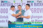 Program TJSL PLN Batam Tanam 5.000 Bibit Mangrove di Hutan Mangrove Tanjung Piayu