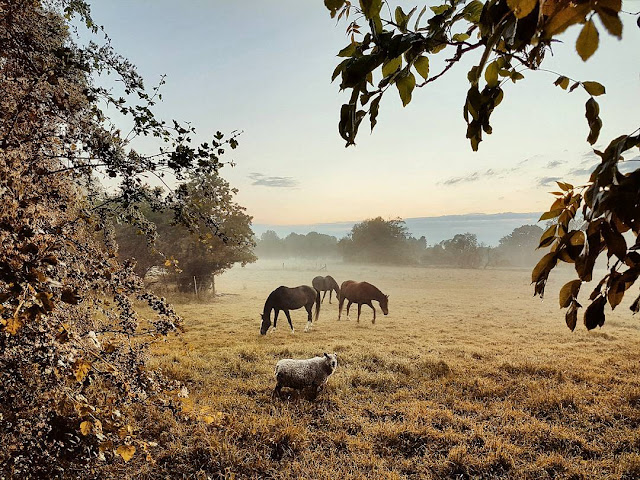 Photo by Ben Heine - Samsung S7 Edge #OwnTheTwilight Campaign 2016