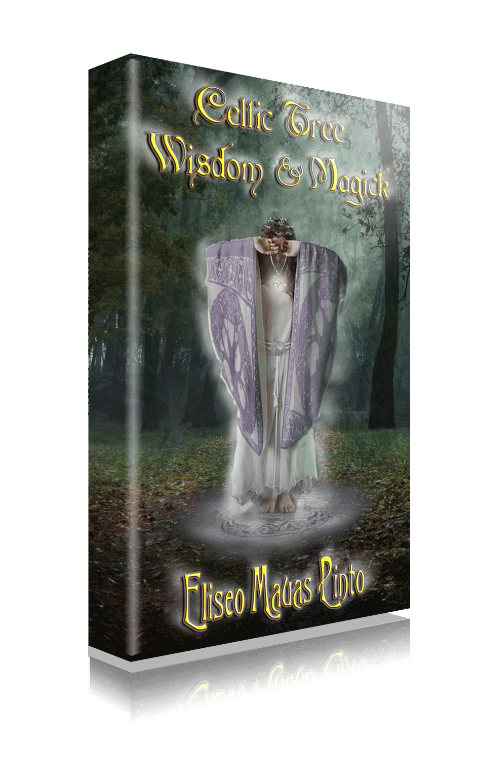 http://www.amazon.com/Celtic-Wisdom-Magick-Eliseo-Mauas-ebook/dp/B00HG7GFDQ/ref=tmm_kin_swatch_0?_encoding=UTF8&sr=&qid=