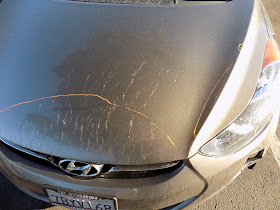 Hyundai Elantra with scraped hood, bumper and headlights before repairs at Almost Everything Auto Body.