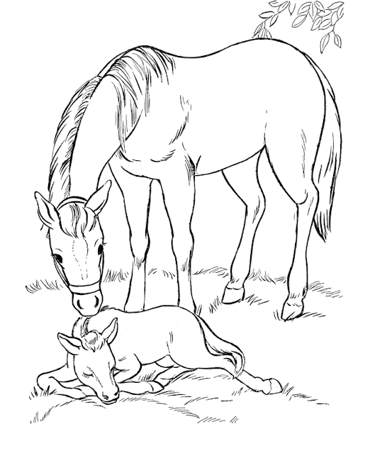 Free Collection of horses cartoon coloring page