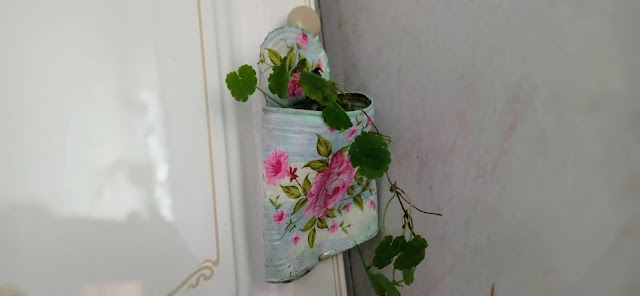 diy-plantas