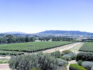 Cape Town, Constantia, Etelä-Afrikka, Franschhoek, Kapkaupunki, Paarl, South Africa, Stellenbosch, viinintuotanto, wine, wine valley