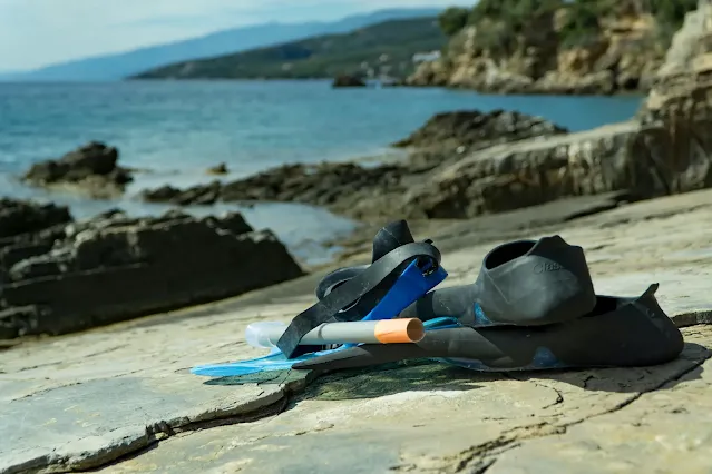 Freediving Equipment