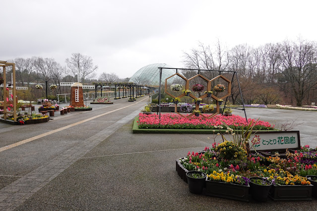 鳥取県西伯郡南部町鶴田 とっとり花回廊 エントランス展示