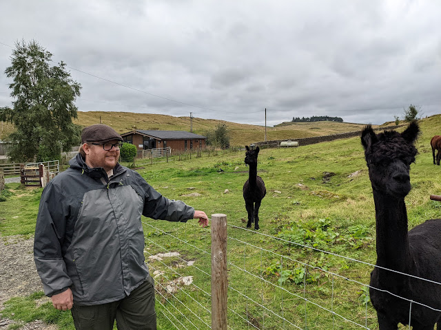 Herding Hill Farm Alpacas