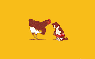 rooster and cat (27)