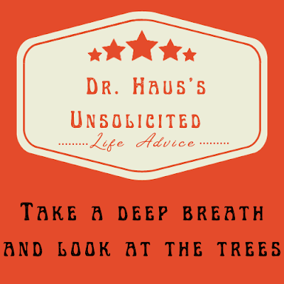 Dr. Haus's Unsolicited Life Advice:  Take a deep breath and look at the trees