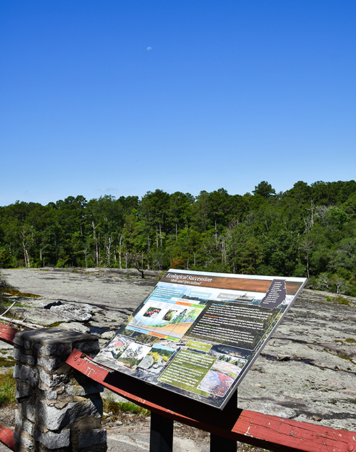 Panola Mountain State Park | Photo: Travis Swann Taylor