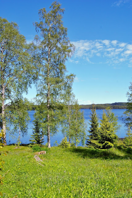 Hävdad ängsmark 