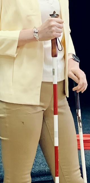Na obrázku je záběr na ruce. Pravá drží červenobílou hůl a levá bílou hůl.