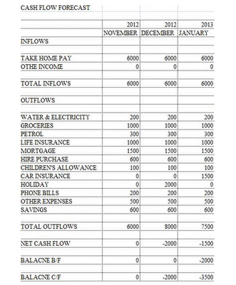 Personal Cash Flow Forecast