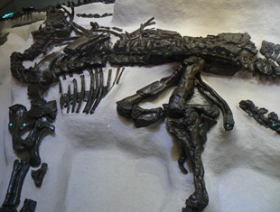 P1250199