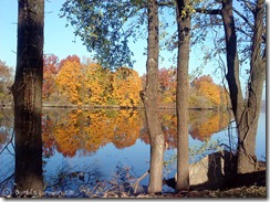 fall04