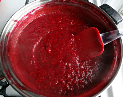 Raspberry Jam (Pectin Free)