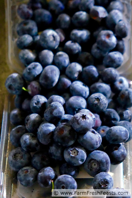 http://www.farmfreshfeasts.com/2015/08/blueberry-breakfast-cobbler-with-grits.html