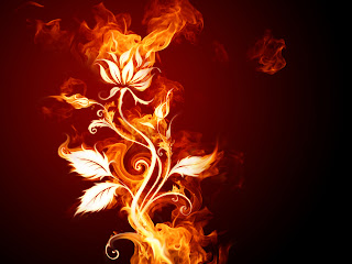 fire 4 Mediafire Picture Wallpapers{ilovemediafire.blogspot.com}