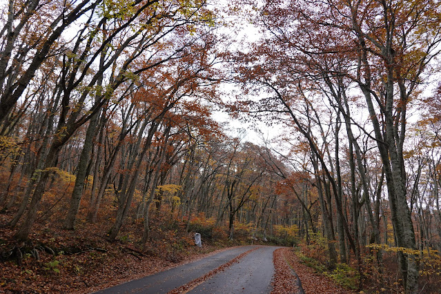 鳥取県道45号倉吉江府溝口線（大山環状道路）