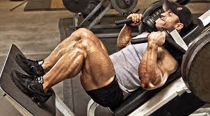 Leg day workout for gym