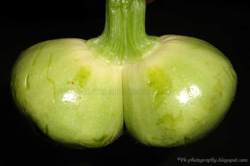 funny images vegetablesphoto