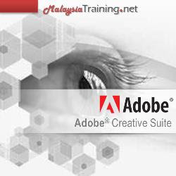 Adobe Illustrator CS6 Training Course