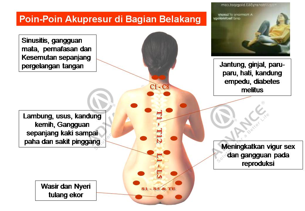 SUMO OTOMOMI ALAT PIJAT BUAT DI MOBIL DAN DI RUMAH