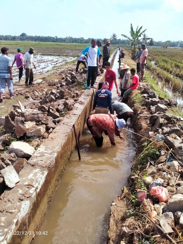 Saluran Tersumbat, 200 Hektar Areal Sawah di Peudada Terancam Kekeringan