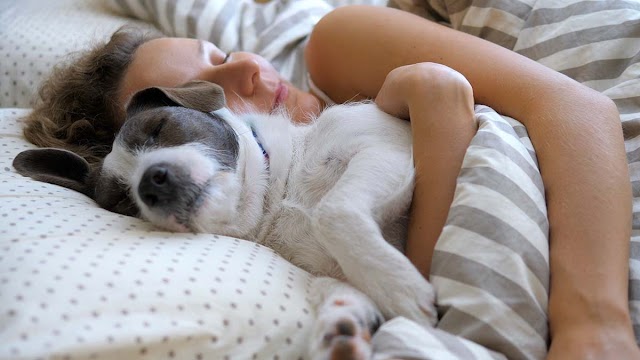 Πόσα κερδίζουν όσοι κοιμούνται αγκαλιά με τον σκύλο τους – Και πόσα χάνουν