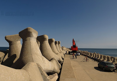 constanta dig