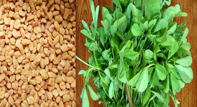 7 Amazing Health benefits of Fenugreek (Methi)