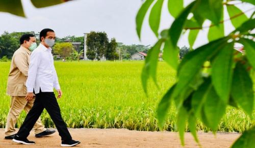 Jokowi Mundur atau Dimundurkan 