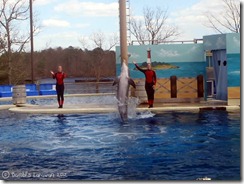 sixflags05