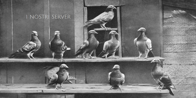 i-nostri-server-per-le-newsletter