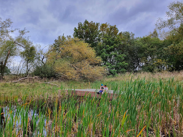 75 things to do in Newcastle with Kids - gosforth nature reserve