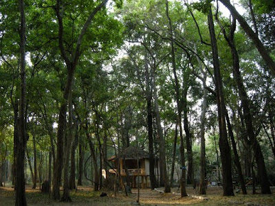 Living inwards as well as enduring the sweltering Hyderabad oestrus IndiaTravel; The Enchanted Woods of Talakona.