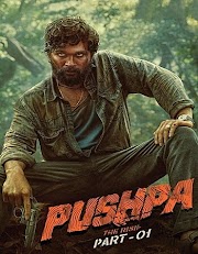 Pushpa: The Rise – Part 1 2021 Hindi (ORG) 1080p 720p 480p WEB-DL x264 ESubs