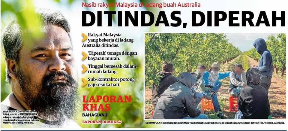 "Nasib rakyat Malaysia di ladang buah Australia DITINDAS 