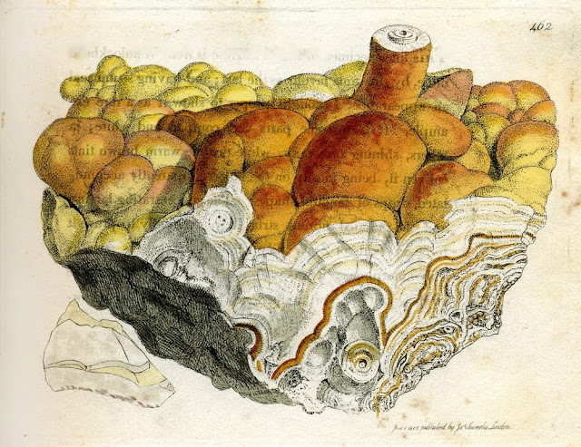 ZINCUM oxygenizatum, var. siliciferum. Silical Oxide of Zinc. From Sowerby, British Mineralogy