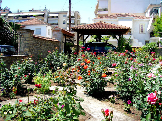 roses garden colours red purple pink orange yellow