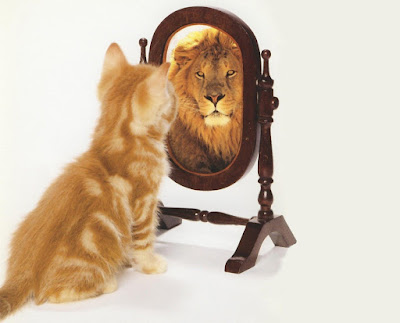 chat lion miroir