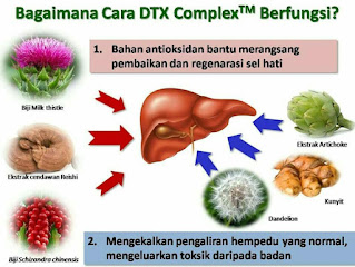 DTX Complex Promosi Mac 2023 Cara Makan Detoks Puasa Shaklee