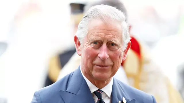 King Charles Issues First Statement Following Tense Meeting with Prince Harry