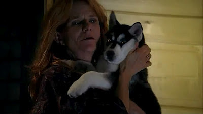 Cachorro Husky Siberiano en la serie True Blood (Sangre Fresca)