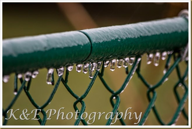 JANUARY 2015 (5 of 5)